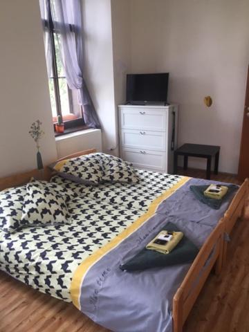 Penzion Willa Jihlava Extérieur photo